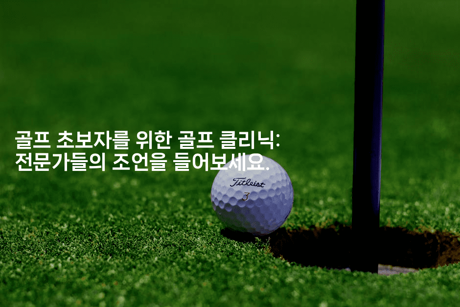 골프 초보자를 위한 골프 클리닉: 전문가들의 조언을 들어보세요.