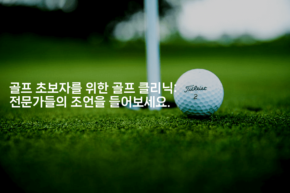 골프 초보자를 위한 골프 클리닉: 전문가들의 조언을 들어보세요.
2-운동쿵쿵