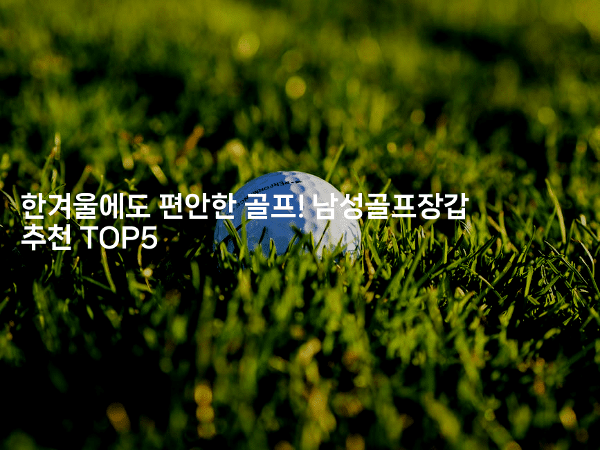 한겨울에도 편안한 골프! 남성골프장갑 추천 TOP52-운동쿵쿵