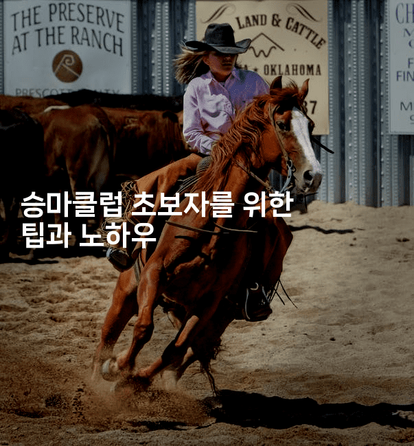 승마클럽 초보자를 위한 팁과 노하우2-운동쿵쿵