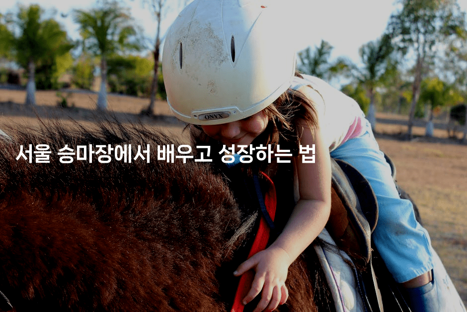 서울 승마장에서 배우고 성장하는 법-운동쿵쿵