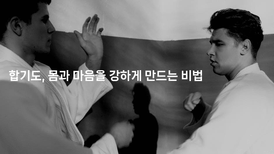 합기도, 몸과 마음을 강하게 만드는 비법-운동쿵쿵