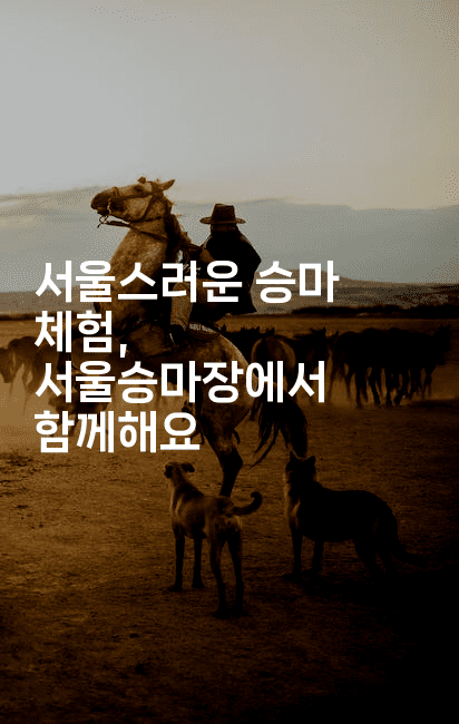 서울스러운 승마 체험, 서울승마장에서 함께해요-운동쿵쿵