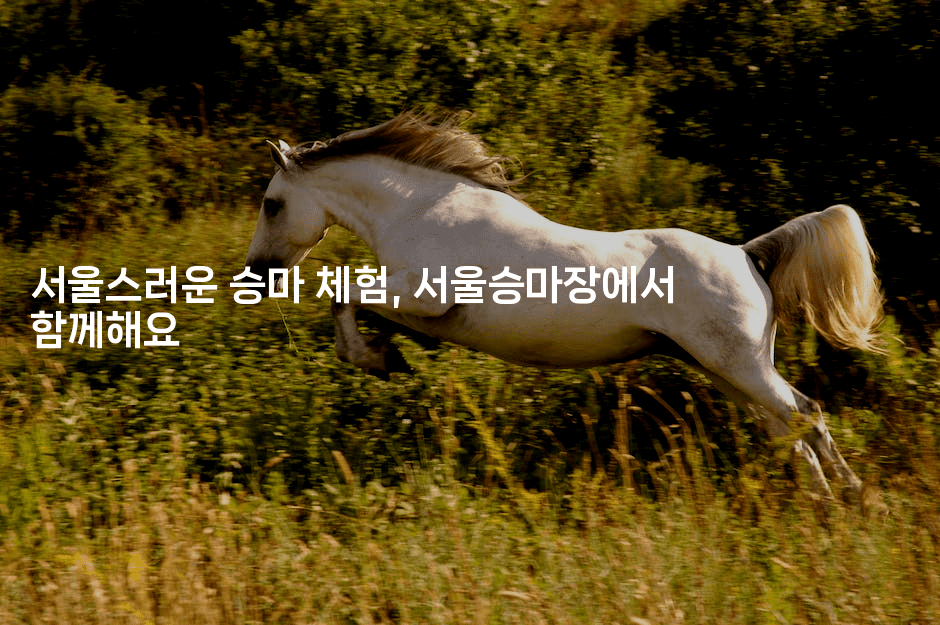 서울스러운 승마 체험, 서울승마장에서 함께해요2-운동쿵쿵