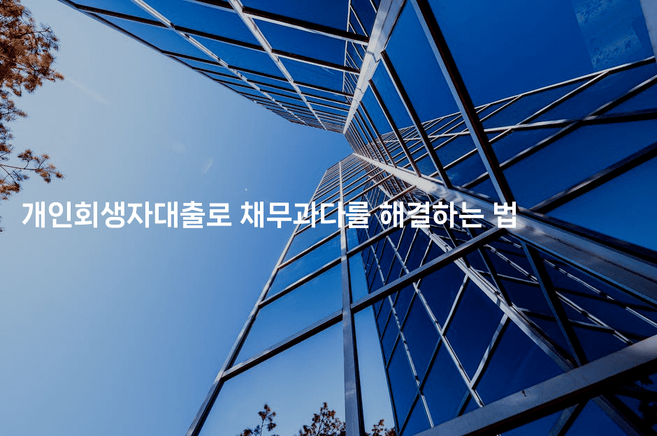 개인회생자대출로 채무과다를 해결하는 법-운동쿵쿵