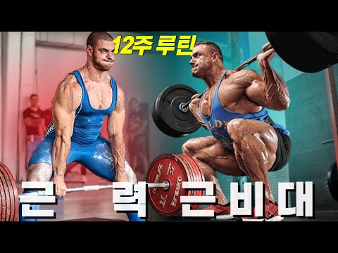 2분할 끝판왕! 효율적인 근력, 근비대 동시 훈련 프로그램 (직장인, 내추럴 강추 운동 루틴, 총 기간 12주 , 제발 그냥 따라만 하세요)