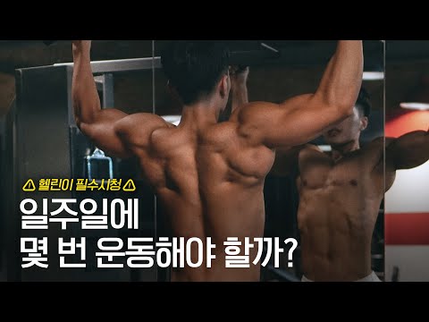 【분할법】 2분할, 3분할? 운동 횟수가 아주 중요합니다. (분할법/반복수/루틴짜는법)