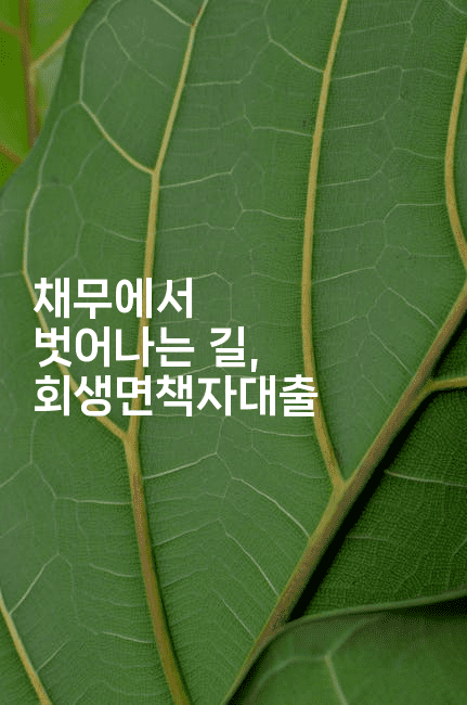 채무에서 벗어나는 길, 회생면책자대출